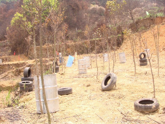 點擊新窗口打開大圖