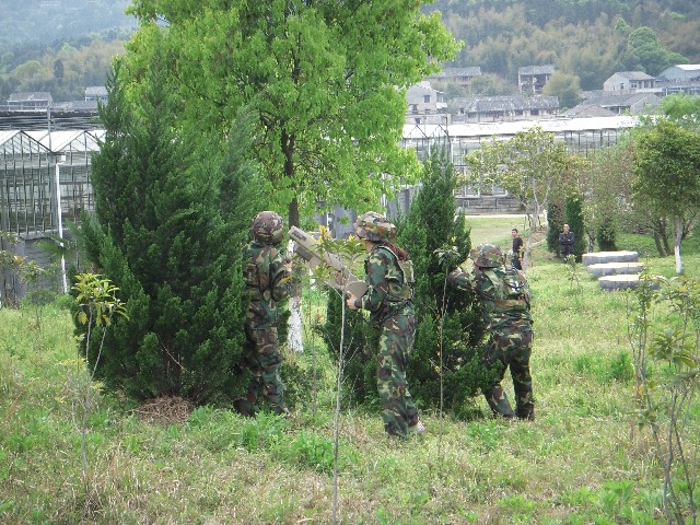 點擊新窗口打開大圖