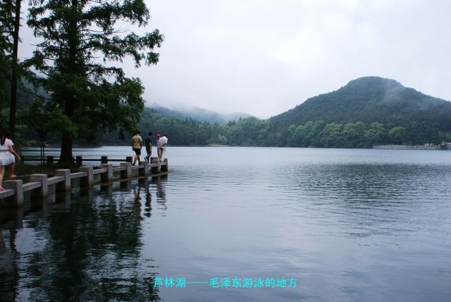 點擊新窗口打開大圖